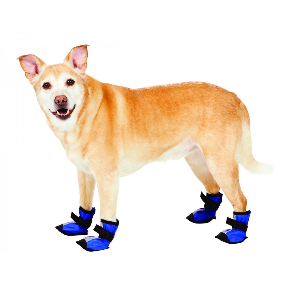Essential Boots Essential Boots