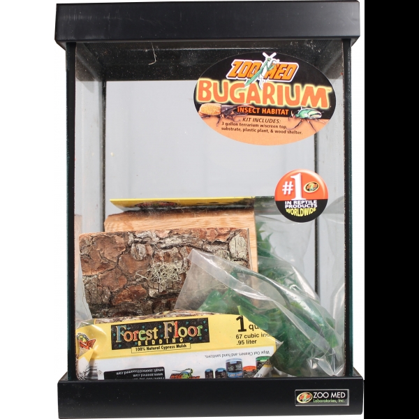 Naturalistic Terrarium Bugarium 8X8X11 INCH Aquarium Supplies GregRobert