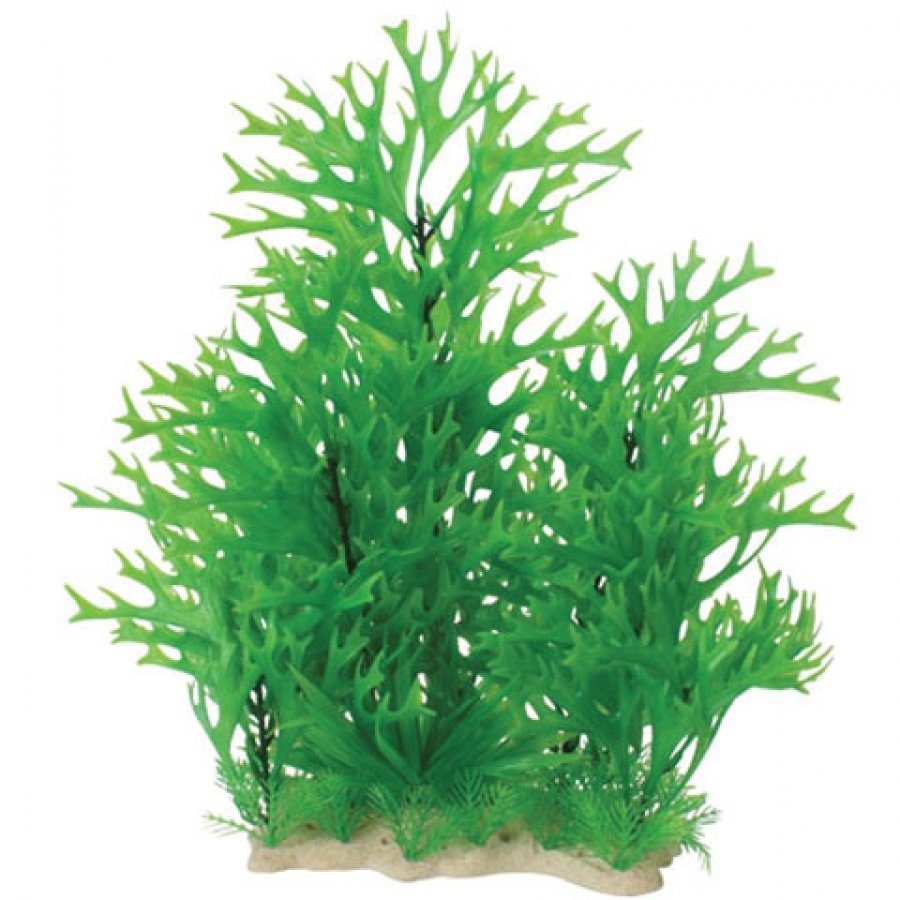 Natural Elements Antler Fern Combo 12 18 In. Natural Elements Antler Fern Combo 12 18 In.
