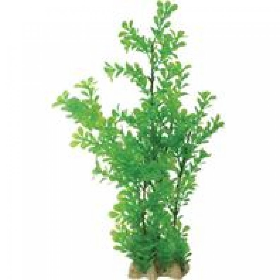 Natural Elements Bacopa 17 In. Natural Elements Bacopa 17 In.