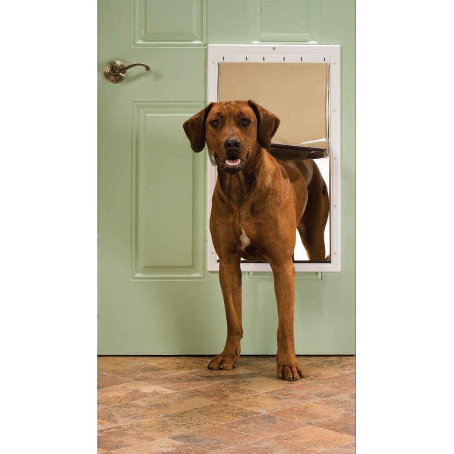 Petsafe Plastic Pet Door Premium White X Large Petsafe Plastic Pet Door Premium White X Large