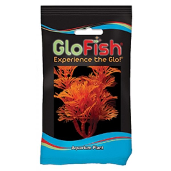 Glofish Aquarium Plant / Type Sunburst Orange Small Glofish Aquarium Plant / Type Sunburst Orange Small