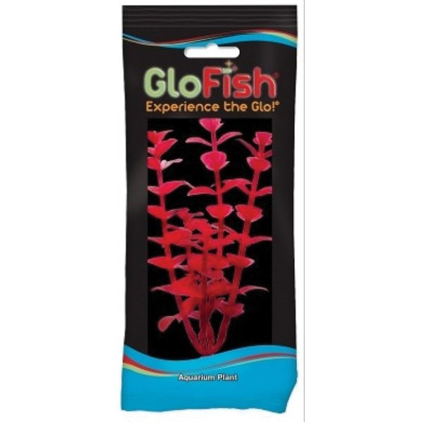 Glofish Aquarium Plant / Type Starfire Red Medium Glofish Aquarium Plant / Type Starfire Red Medium