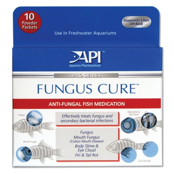 Fungus Cure Powder Packets For Fish Fungus Cure Powder Packets For Fish