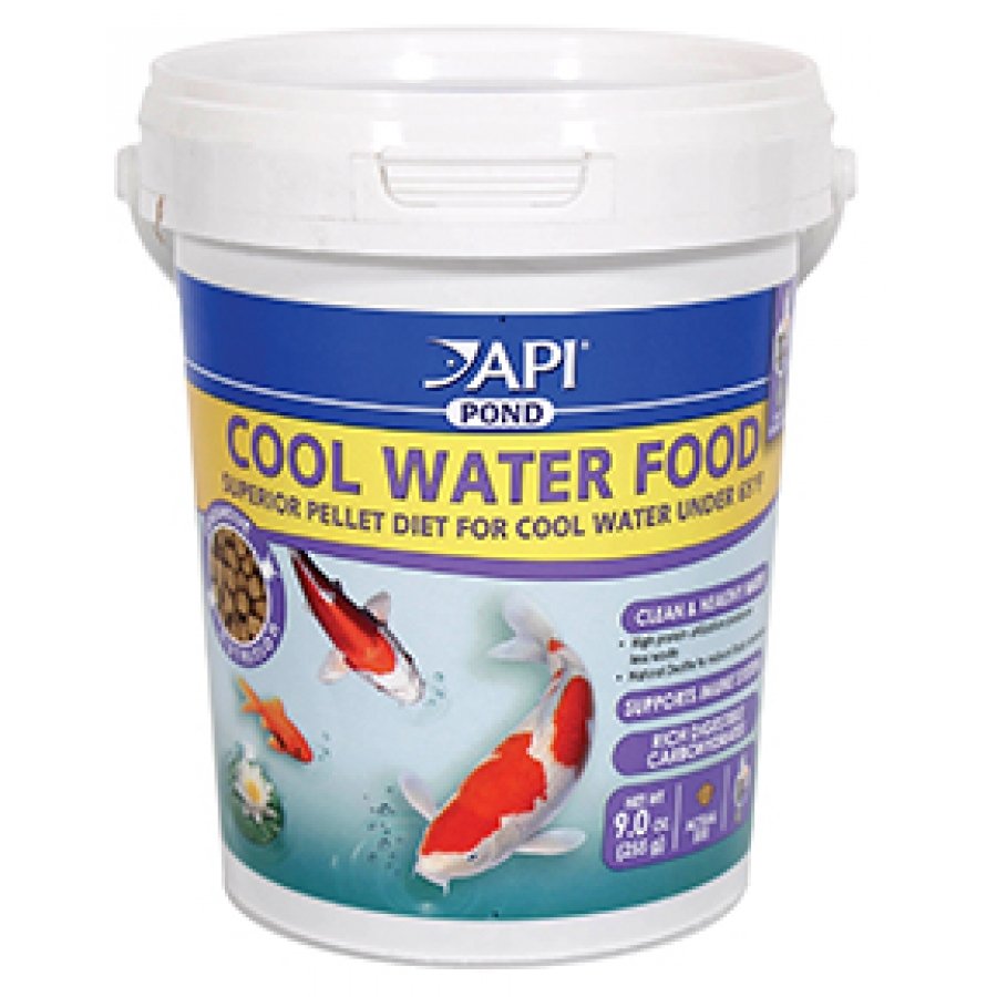Api Pond Cool Water Food Api Pond Cool Water Food
