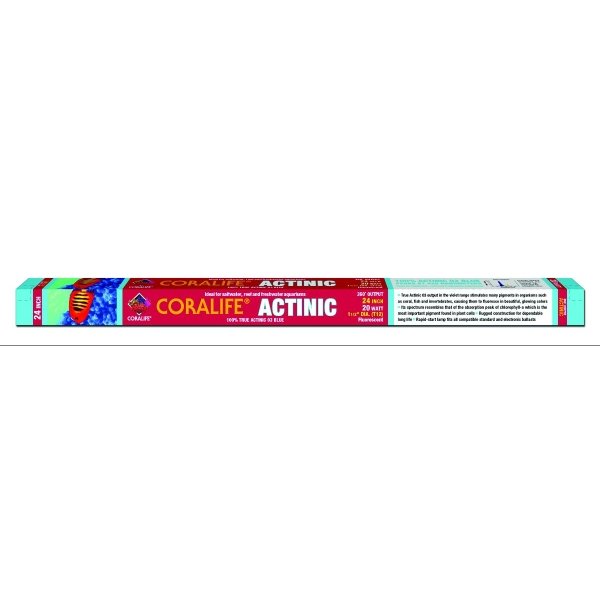Coralife Actinic Blue Flourescent Lamp / Size 17 Watt / 24 In. T8 Coralife Actinic Blue Flourescent Lamp / Size 17 Watt / 24 In. T8