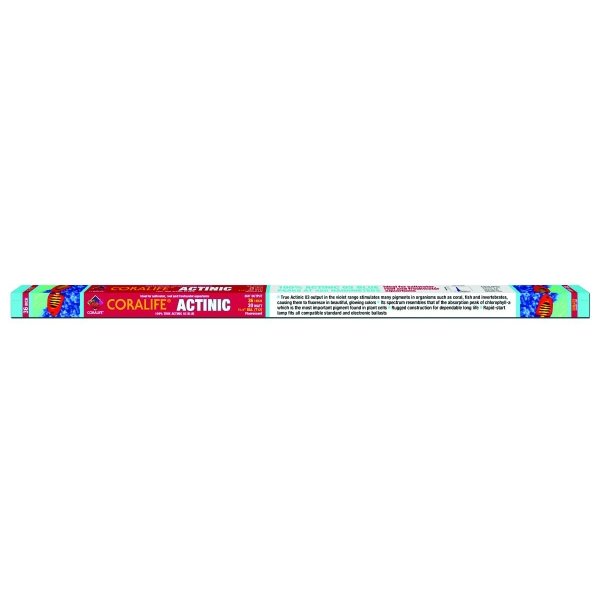 Coralife Actinic Blue Flourescent Lamp / Size 25 Watt / 36 In. T8 Coralife Actinic Blue Flourescent Lamp / Size 25 Watt / 36 In. T8