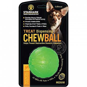 Everlasting Fun Ball Treat Dispenser for Dogs