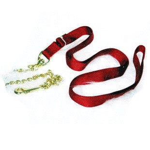 Nylon Lead with Chain and Snap - Red / 7 ft.