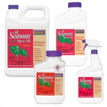 All Seasons Horticultural Spray Oil