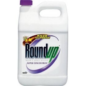 Roundup Weed & Grass Killer Super Conc