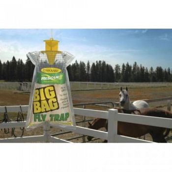 Big Fly Trap  (Case of 12)