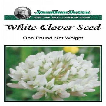 White Clover Seed - 1 lb.