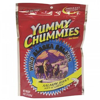 Yummy Chummies Salmon Dog Treat - Soft N Chewy