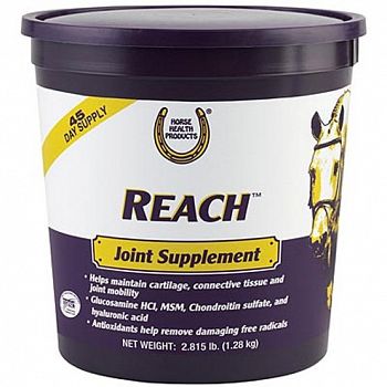 Reach Equine Joint Supplement 2.8 lbs