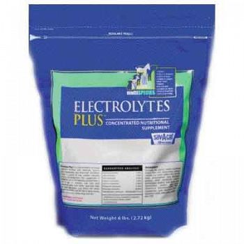 Electrolytes Plus Bag Livestock Supplement