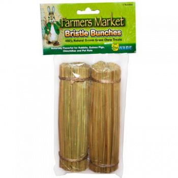 Bristle Bunches for Small Pets