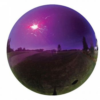 Gazing Globe - Purple / 10 in