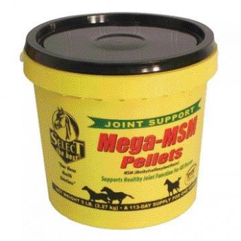 Mega-MSM Pellets for Horses - 5 lbs