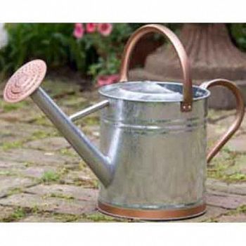 Steel and Copper Watering Can (Case of 4)