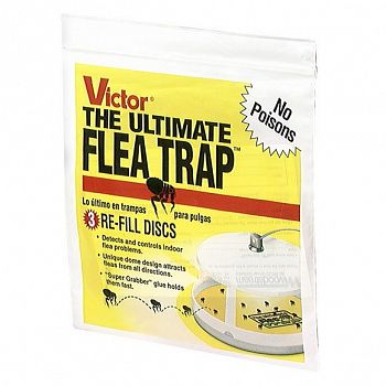 Ultimate Flea Trap Refills - 3 pk.