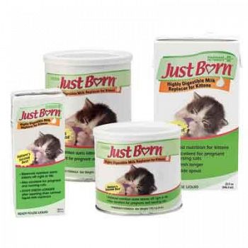 Just Born Milk Replacer for Kittens