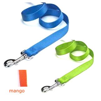Bright Colored Nylon Dog Leash