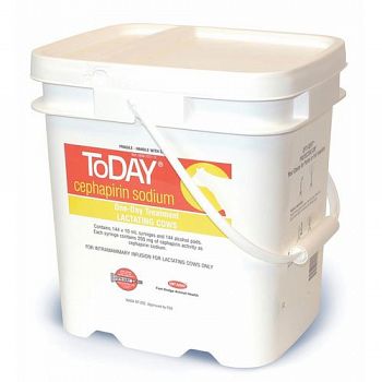 Today Pail for Livestock - 144 ct.