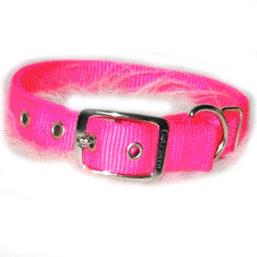 Hot Pink Double Thick Dog Collar - 1 inch