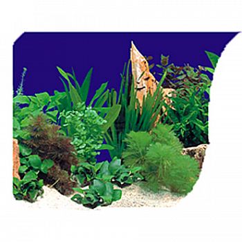 Planted Tank & Orange Corals Background - 50 FT X 20 IN