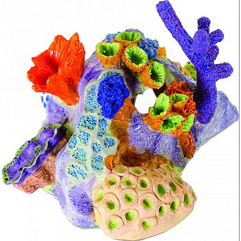 Pacific Reef Ornament MULTI COLORED 8X7X5.5 INCH