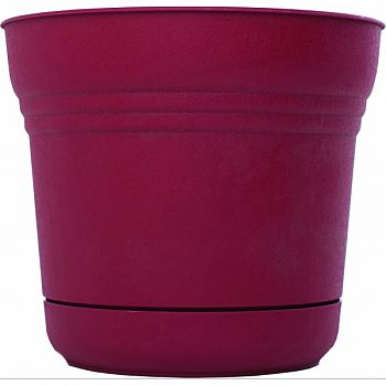 Saturn Planter RED 5 INCH (Case of 12)
