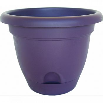 Lucca Planter EXOTICA 8 INCH (Case of 12)