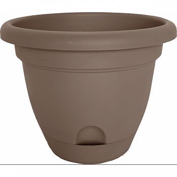 Lucca Planter CURRATED 8 INCH (Case of 12)
