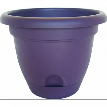 Lucca Planter EXOTICA 10 INCH (Case of 6)