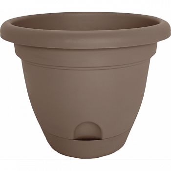 Lucca Planter CURATED 10 INCH (Case of 6)