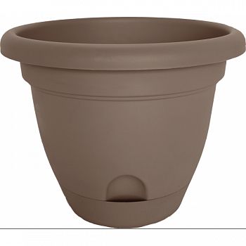 Lucca Planter CURATED 12 INCH (Case of 6)