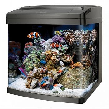 Coralife Biocube 14 gallon