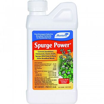 Monterey Spurge Power Concentrate  16 OUNCE (Case of 12)