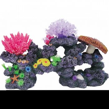 Coral Reef Formation  15X6X8