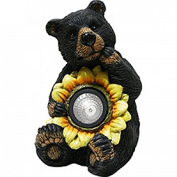 Black Bear With Solar Sunflower