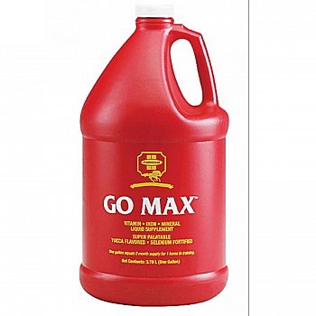 Go-Max Equine Liquid Supplement - Gallon