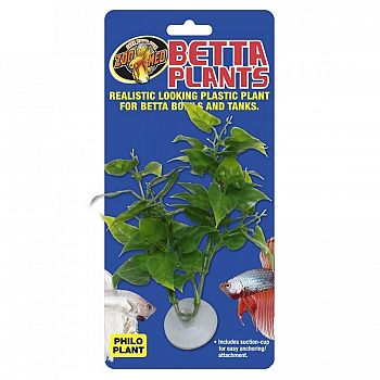 Philodendrom Betta Plant