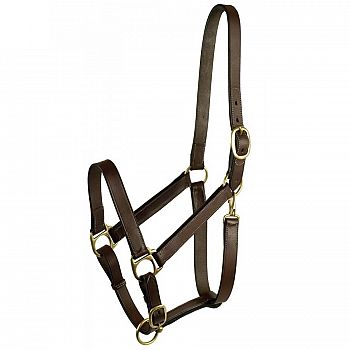 Leather Turnout Halter w/Snap