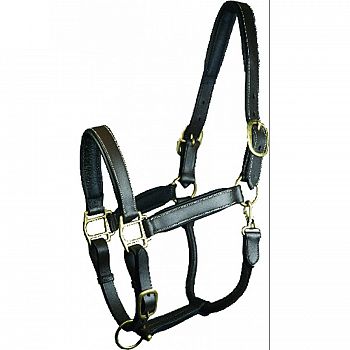 Gatsby Padded Leather Turnout Halter Cob