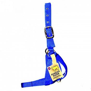 Turnout Cow Halter - Blue - 1 in.