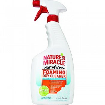 Foaming Oxy Cleaner Fresh Scent