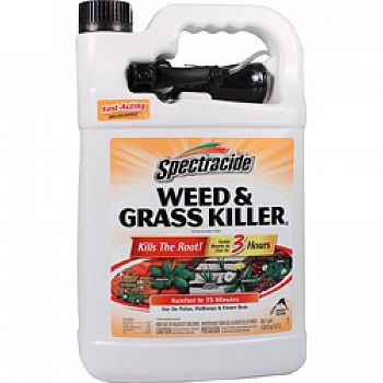 Spectracide Weed And Grass Killer (Case of 4)