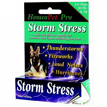 K-9 Storm Stress