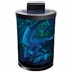 Kit combines a clear plastic, seamless aquarium with hidden bio-wheel filtration and led lighting. White, daylight leds and blue, moonlight leds ensure aquatic enjoyment any time of day or night. Single low voltage adapter powers the filter and the led li